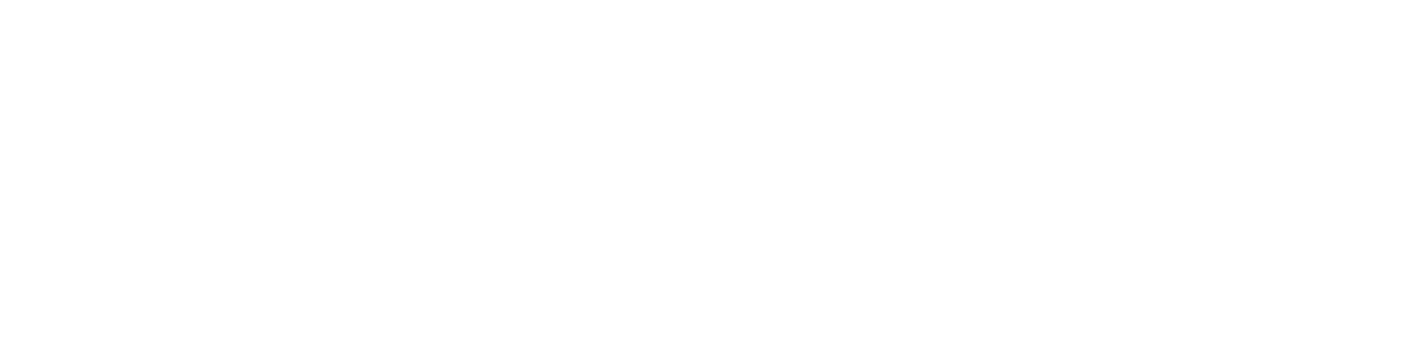 clevaforce