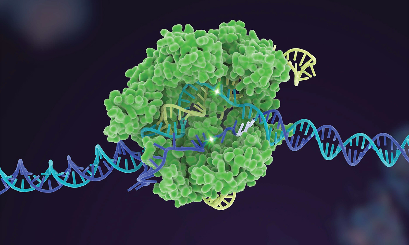 CRISPR, an Overview